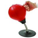 Portable Punching Bag