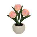 Grillig Tulipanglød