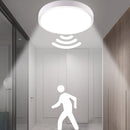 Smart Motion Lights 