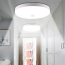 Smart Motion Lights 