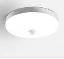 Smart Motion Lights 