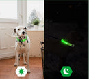 Gloeiende Hondenriem