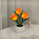 Grillig Tulipanglød
