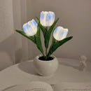 Grillig Tulipanglød