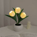 Grillig Tulipanglød