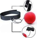 Boxing training Reflex ball