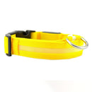 Gloeiende Hondenriem