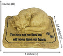 3D Cat Memorial Stone 