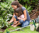 Long-handled weed remover 