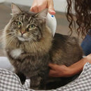 Electric flea remover for pets