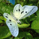 Sommerfugl LED Fe lys