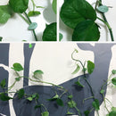 Plant Climbing Object Mounting Clip