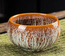 Ceramic porcelain tea cup