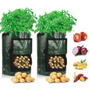 Aardappel Groeiende Zak
