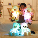 Leddy de teddy