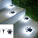 Paw Print Solar Lights