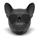 Franse Bulldog Spreker