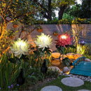 Chrysanthemum LED Zonne Licht