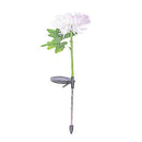 Chrysanthemum LED Zonne Licht