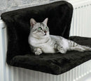 Cat Radiator Hammock