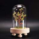 Feng Shui Kristallen Boom