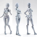 Body Kun &amp; Body Chan Drawing Mannequin