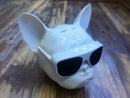 Franse Bulldog Spreker