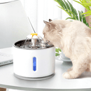 Hydrering Katte Vandfontæne
