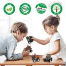 Pull Back Dinosaurus Mini Auto (6st)