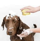 Hundebadebørste