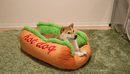 Sjov Hotdog-seng