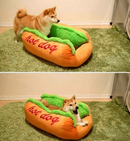 Sjov Hotdog-seng