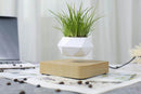 Heflucht Bonsai Pot