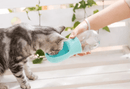 Outdoor Huisdier Waterfles