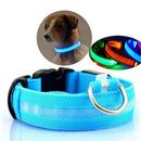 LED Halsband