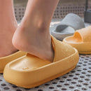 Kiss Slides 