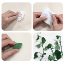 Plant Climbing Object Mounting Clip