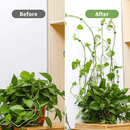 Plant Climbing Object Mounting Clip