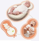 Draagbaar Baby Bed | Anti-vlakke Hoofd
