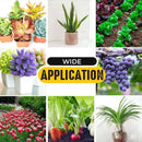 Fast Growth Rooting Powder 