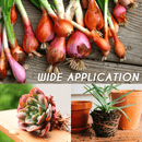 Fast Growth Rooting Powder 