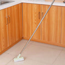 Long-handled scrub brush