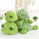 Cute Turtle Plush Toy